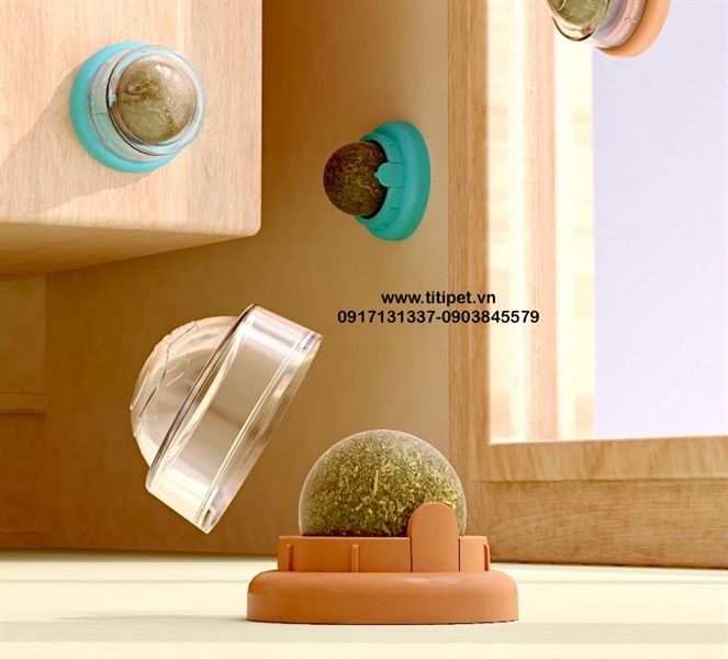 Cỏ Mèo Dán Tường