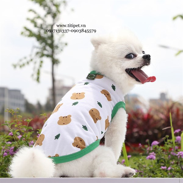 Áo Sát Nách Viền Xanh