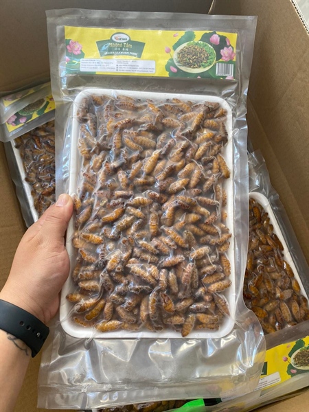 NHỘNG TẰM