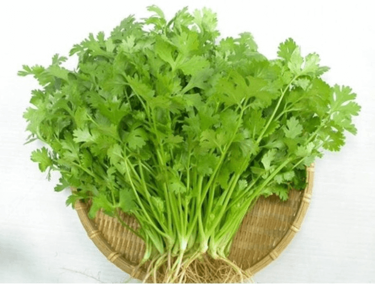 Mùi ta