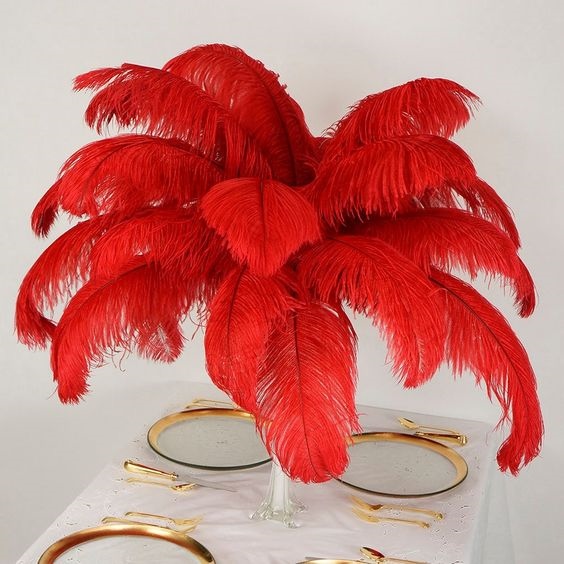 Lông đà điểu đỏ 50-55cm