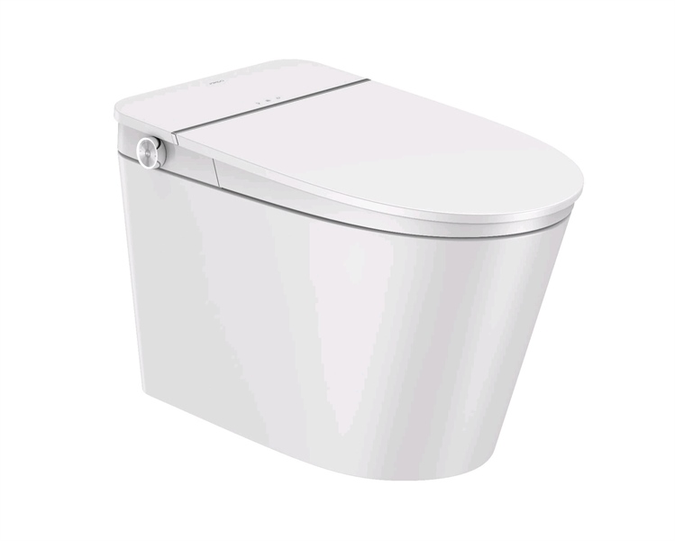 Bồn cầu thông minh