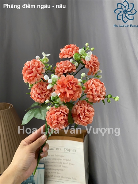 Phăng điểm ngâu - nâu - Hoa cành ngắn - Hoa Lụa Vân Vượng