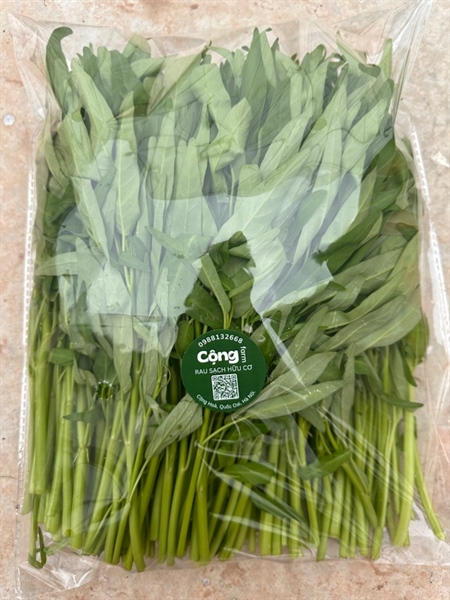 Rau Muống Lá Tre