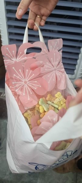 Bánh chiết cho chó tặng sk