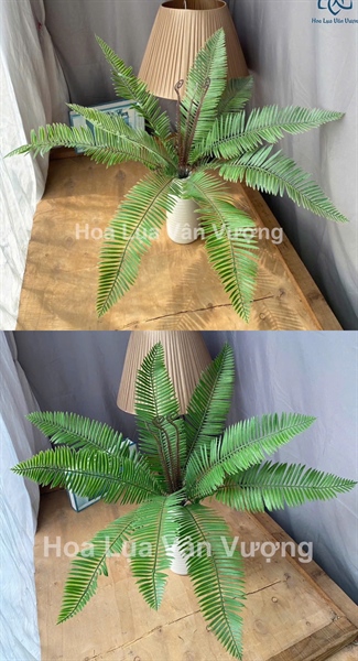 Cành vạn tuế dẻo - Lá cành dài - Hoa Lụa Vân Vượng