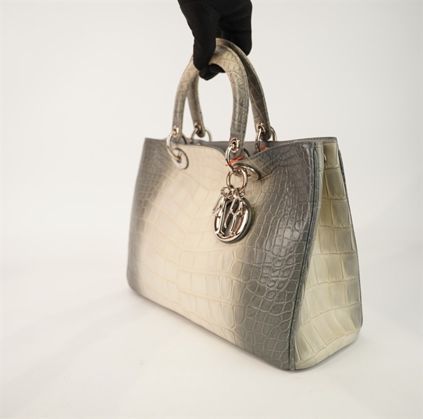 Túi Dior tote da trăn xám có poud size 31 +