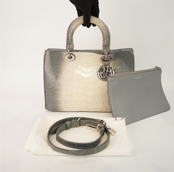 Túi Dior tote da trăn xám có poud size 31 +