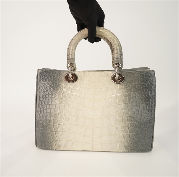 Túi Dior tote da trăn xám có poud size 31 +