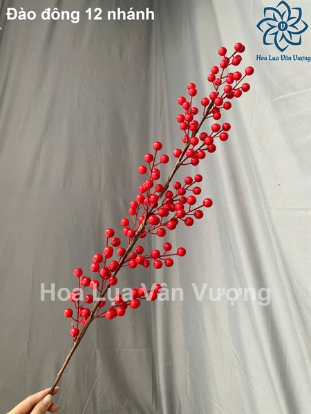 Đào đông 12n - Cành quả - Hoa Lụa Vân Vượng