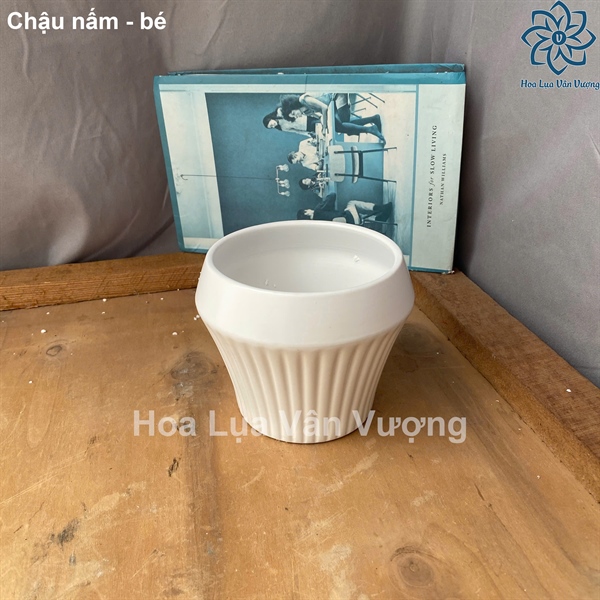 Chậu nấm - bé - Lọ hoa - Hoa Lụa Vân Vượng