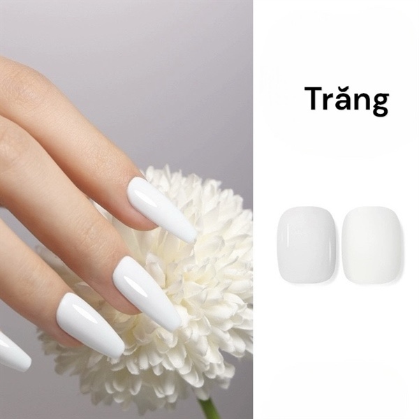 Trắng đàn hồi- TDH