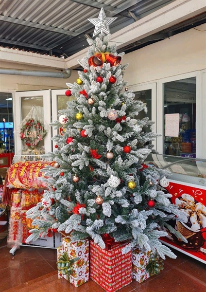 Cây thông PE phủ tuyết 2m1