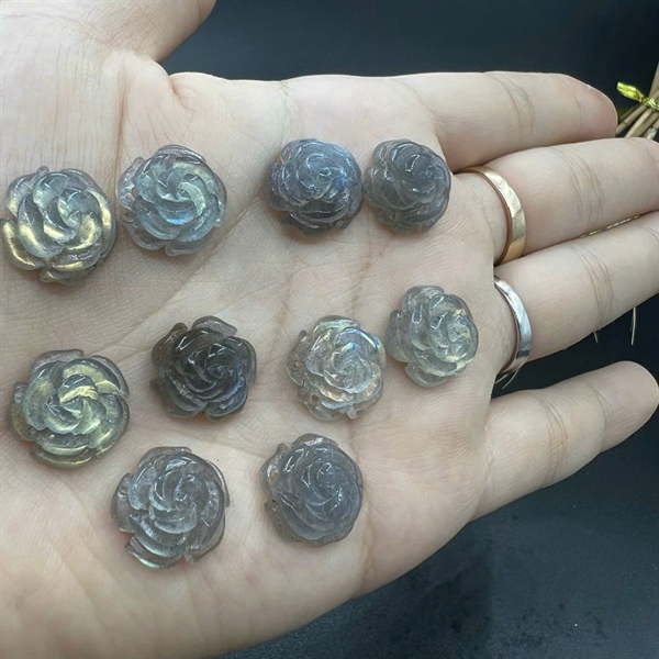 Hoa mẫu đơn đá xà cừ