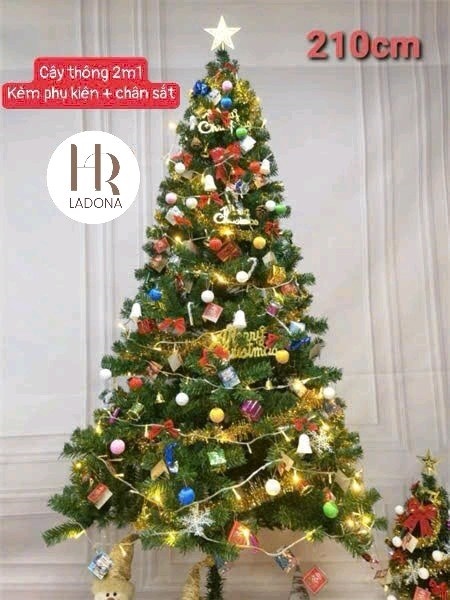 Cây thông noel 2m1 (tặng set trang trí)