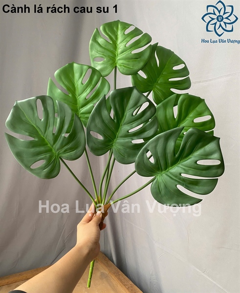 Cành lá rách cao su 1 - Lá cành dài - Hoa Lụa Vân Vượng