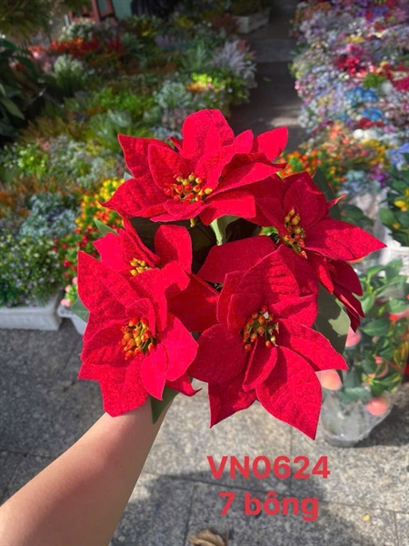 BUI TRẠNG NGUYÊN CÓ GÂN 7B VN0624