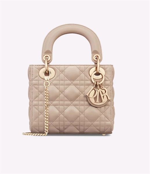 Small Lady Dior My ABCDior Bag