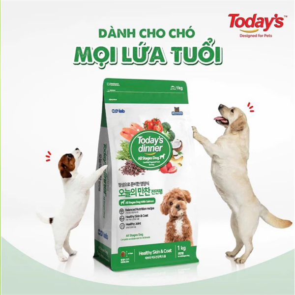 HẠT TODAY DINER CHÓ