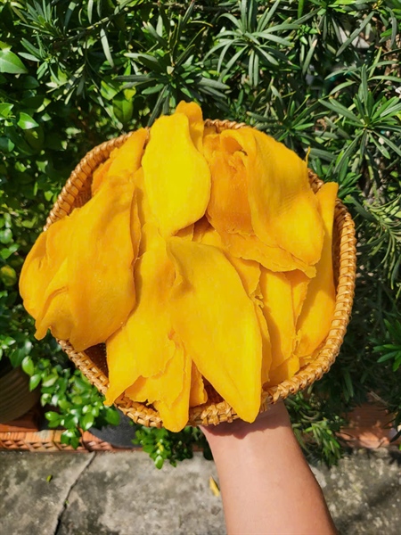 XOÀI SẤY DẺO (500GRAM)