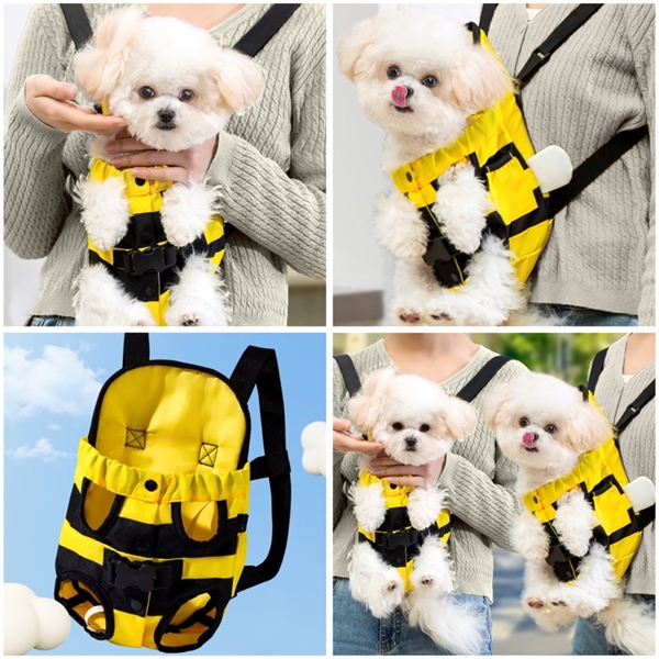 Hipi - Địu hình ong vàng cho thú cưng