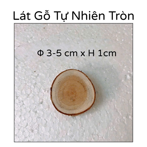 Lát Gỗ Trang Trí Decor Dán Tường / Phụ Kiện Chụp Ảnh / Miếng Lót Cốc Gỗ 1Cm Φ 3-5 Cm - LG3C