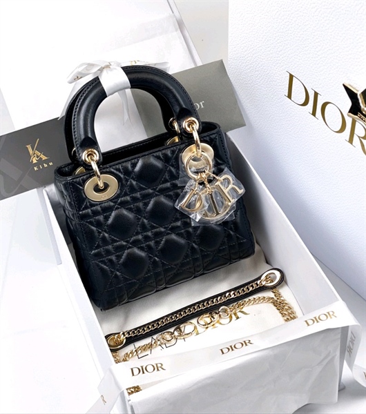 Dior Lady Bag - I