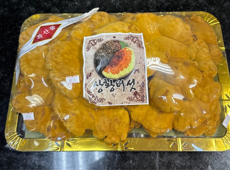 Nấm Phượng Hoàng Hàn Quốc