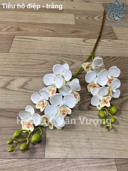 Tiểu hồ điệp - trắng - Hồ điệp, lan - Hoa Lụa Vân Vượng
