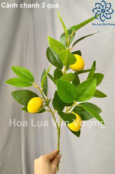 Cành chanh 3 quả - Cành quả - Hoa Lụa Vân Vượng