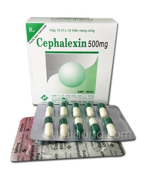 Cephalexin 500mg vidipha (h/100v)
