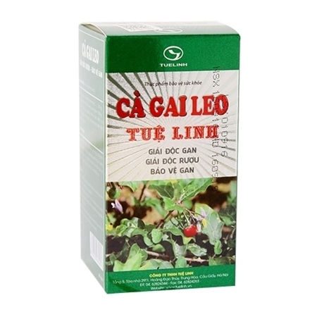 Cà gai leo tuệ linh (c/60v)