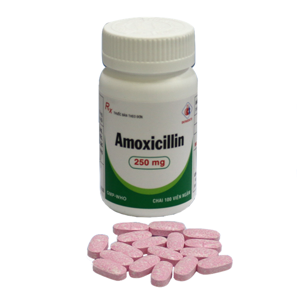 Amoxicillin 250mg - domesco (c/100v)