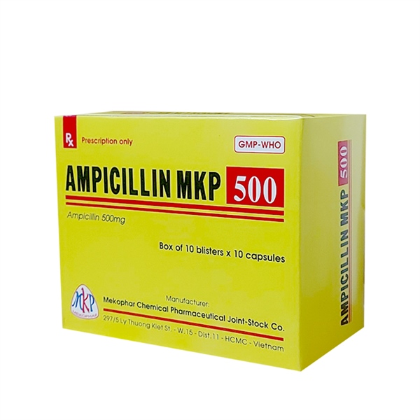 Ampicillin 500mg mekophar (h/100v)