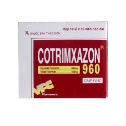 Cotrimxazon 960mg pharimexco (h/100v)