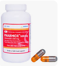 Viên nang pharmox 500mg