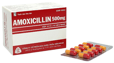 Amoxicillin 500 mekophar (h/100v)