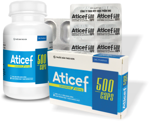 Aticef cefadroxil 500mg dhg (c/100v)