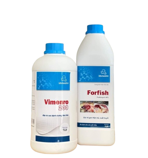 BỘ ĐÔI FOR FISH + ENRO