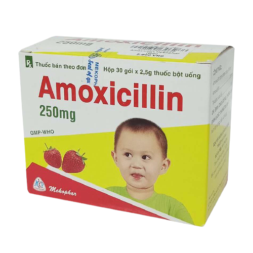 Amoxicillin 250mg mekophar (h/30g/2,5g) (gói)