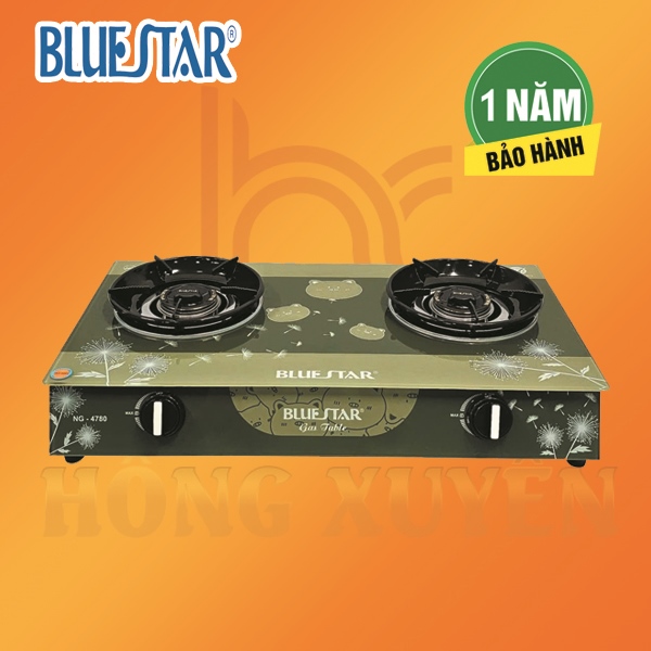 Bếp Ga Đôi BLUESTAR NG-4780M