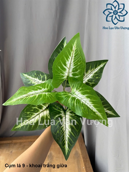 Cụm lá 9 - khoai trắng giữa - Lá cành ngắn - Hoa Lụa Vân Vượng