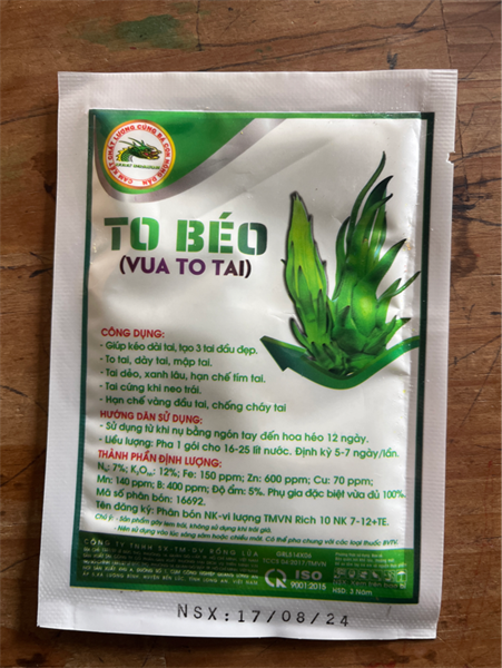 Rồng lửa To Béo