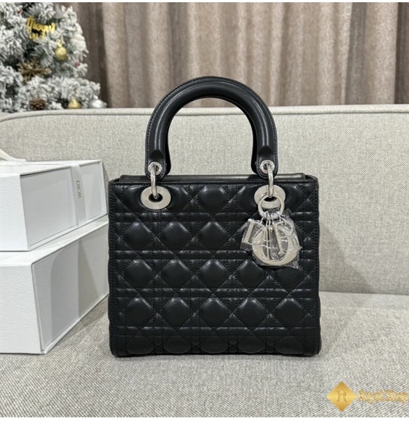 Small Lady Dior My ABCDior Bag (Khóa Bạc)