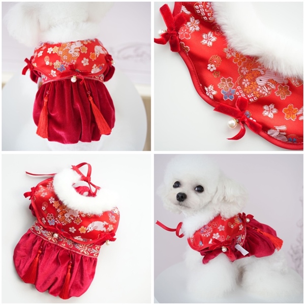 LP - Váy vải nhung cổ choàng thêu hoa đính nơ ngọc trai