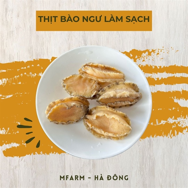Nõn bào ngư 30/50