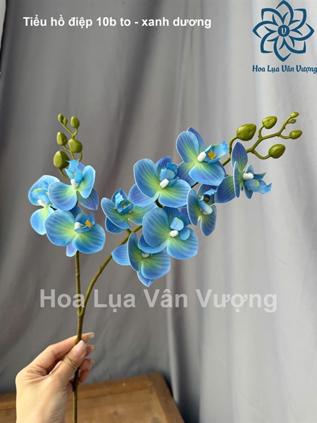 Tiểu hồ điệp 10b to - xanh dương - Hồ điệp, lan - Hoa Lụa Vân Vượng
