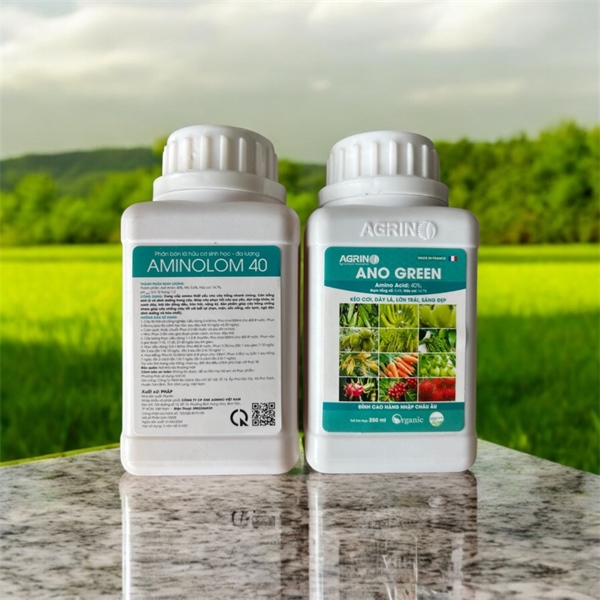 ANO GREEN (AGRINO)