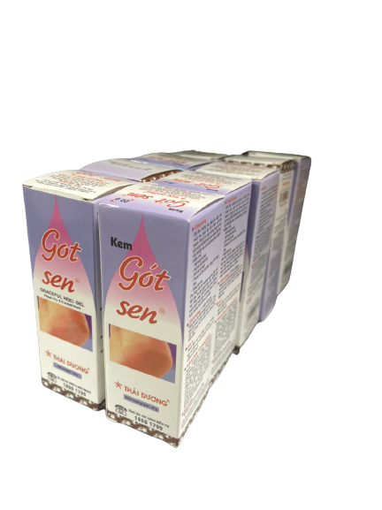 Gót sen thái dương (lốc/10tube/20gr)