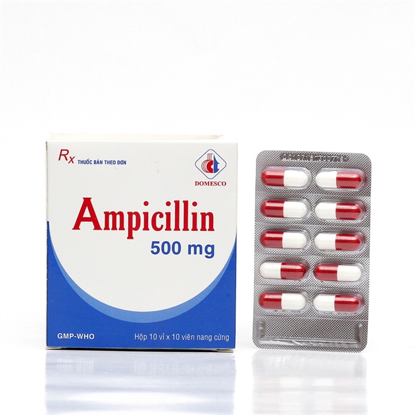 Ampicillin 500mg domesco (h/100v)